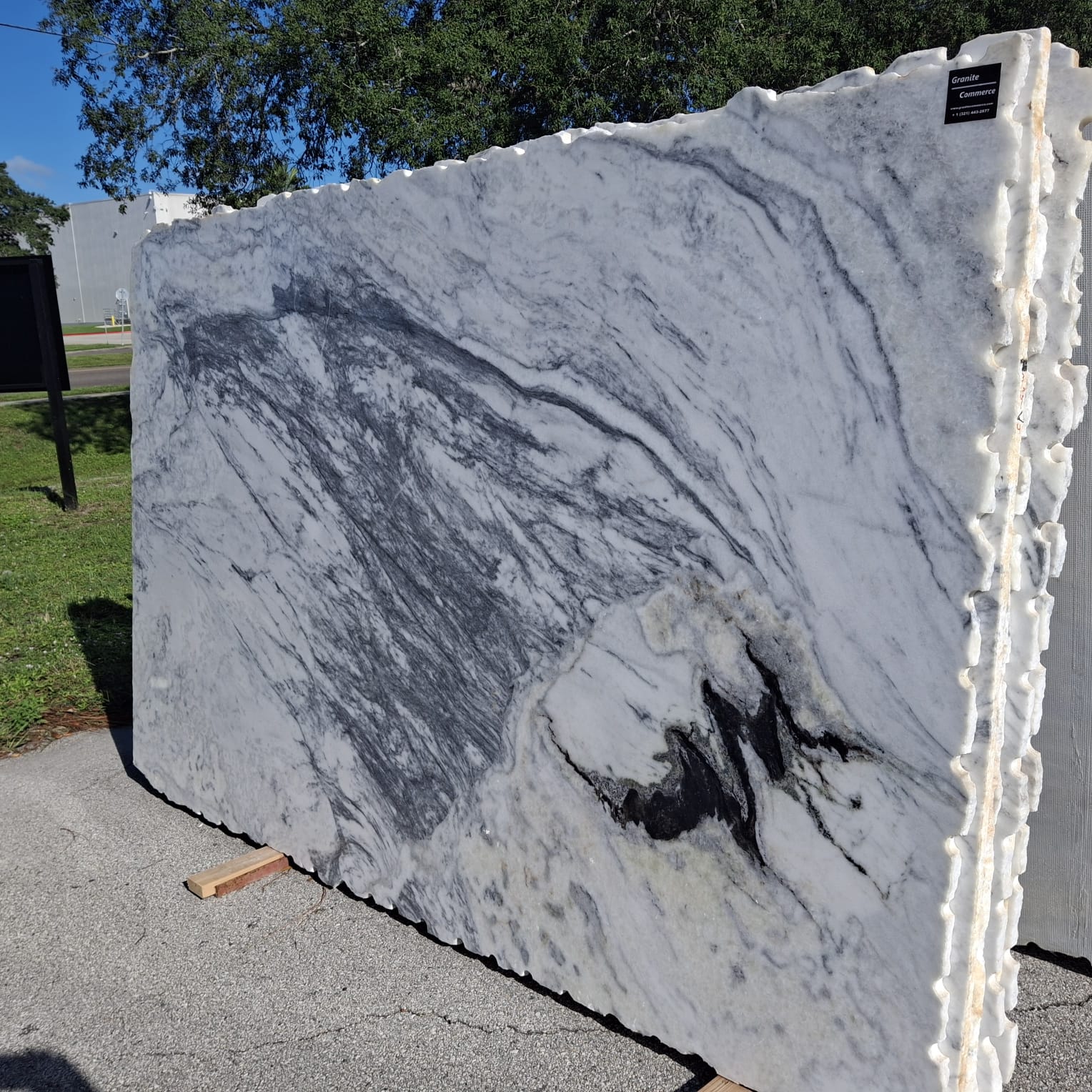 Graphic White slab sample